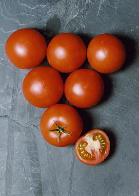 Tomater TE1 08